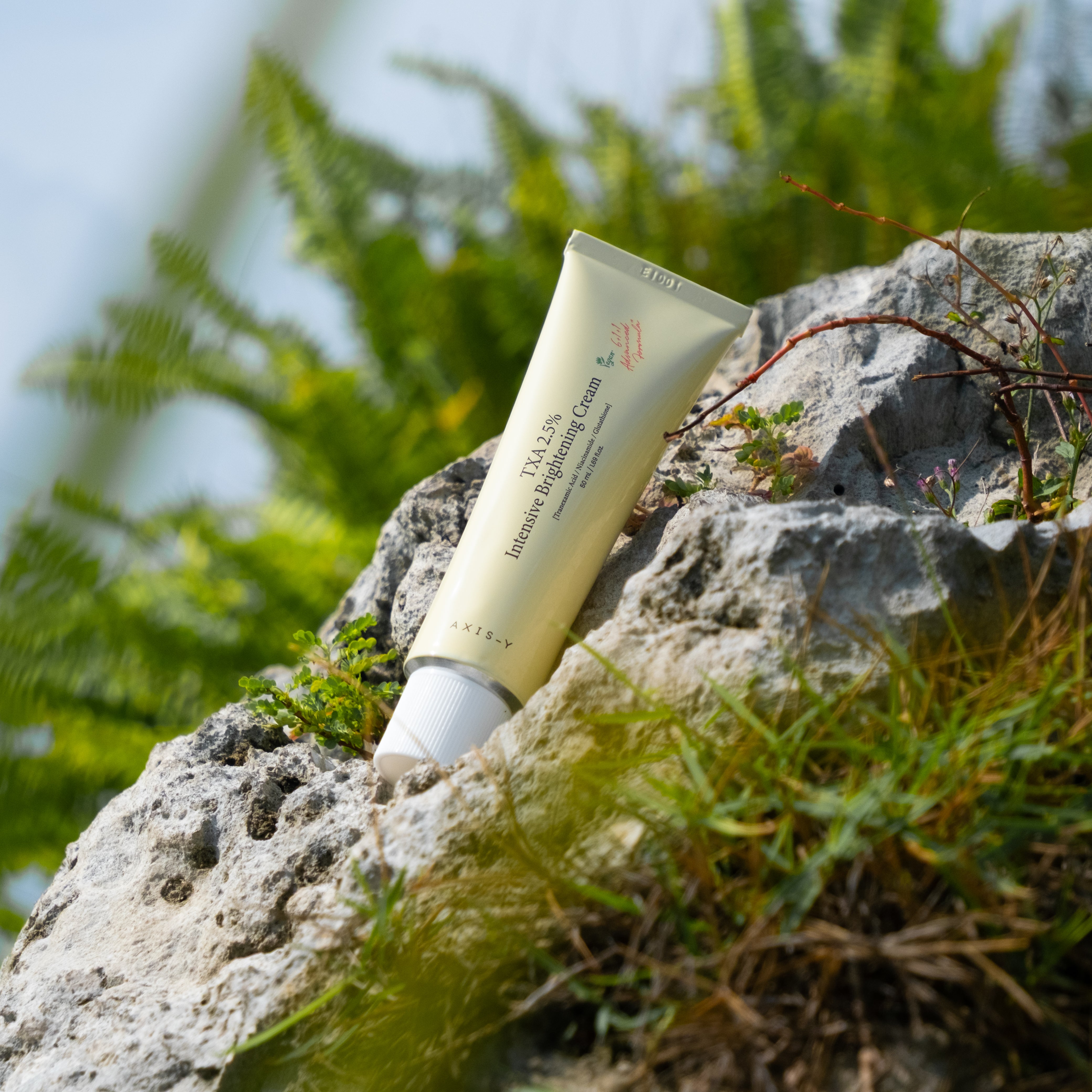 TXA 2.5% Intensive Brightening Cream