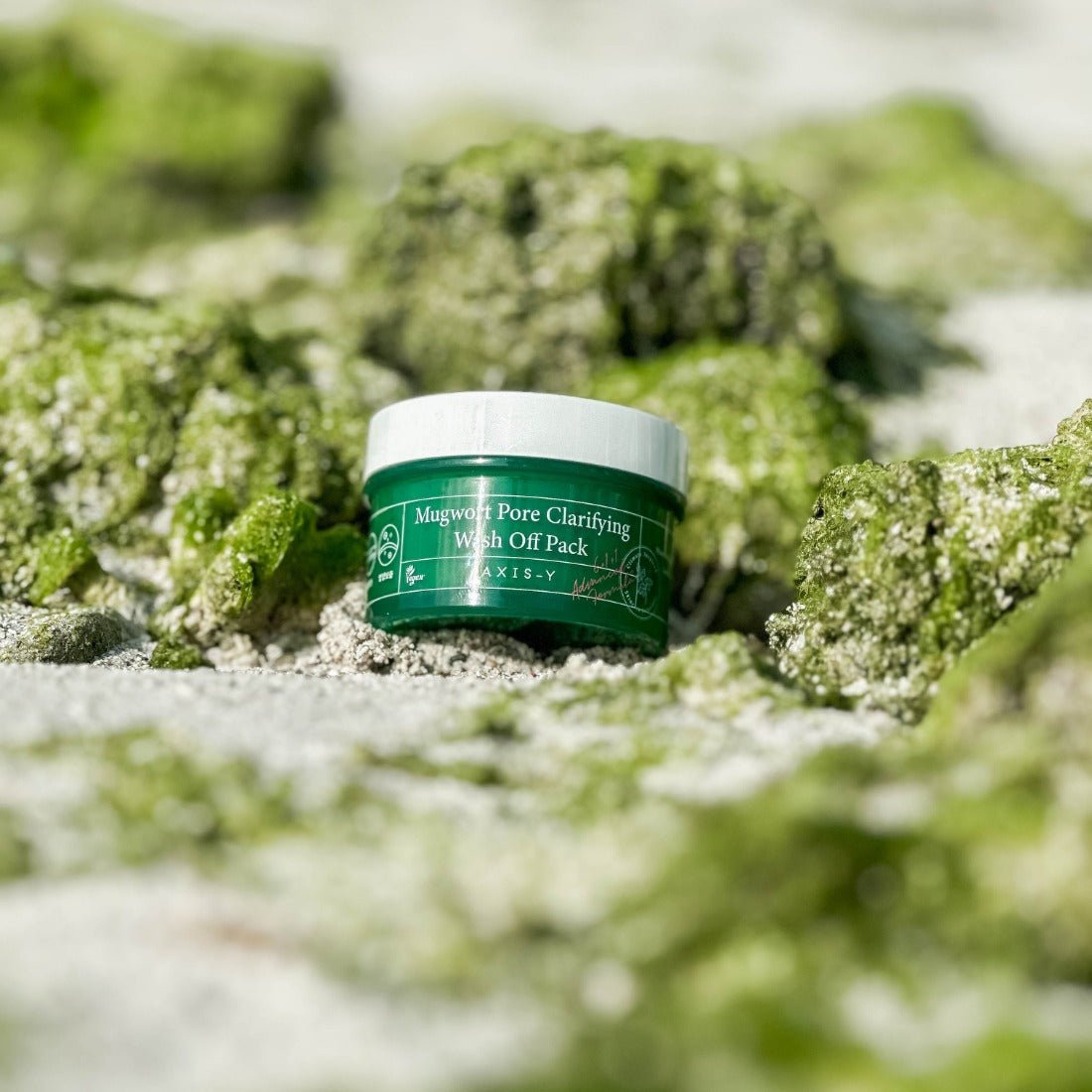 Mugwort Pore Clarifying Wash Off Pack - Serenity Skin