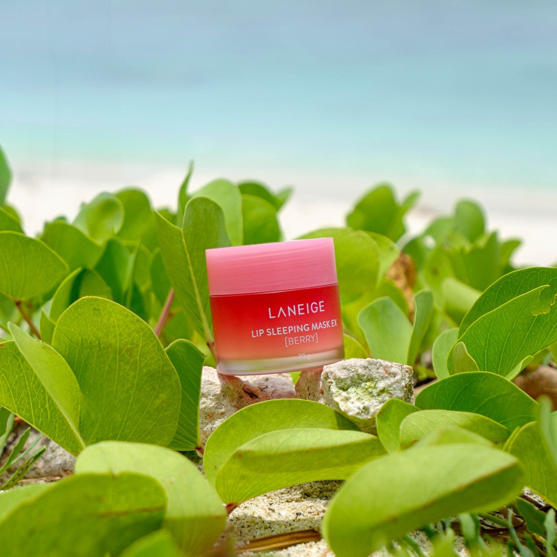 Lip Sleeping Mask Berry