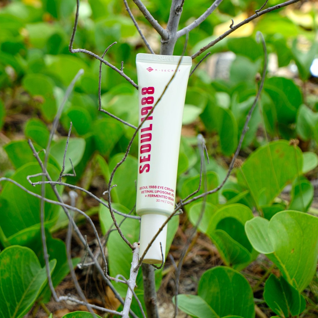 Eye Cream : Retinal Liposome 4% + Fermented Bean